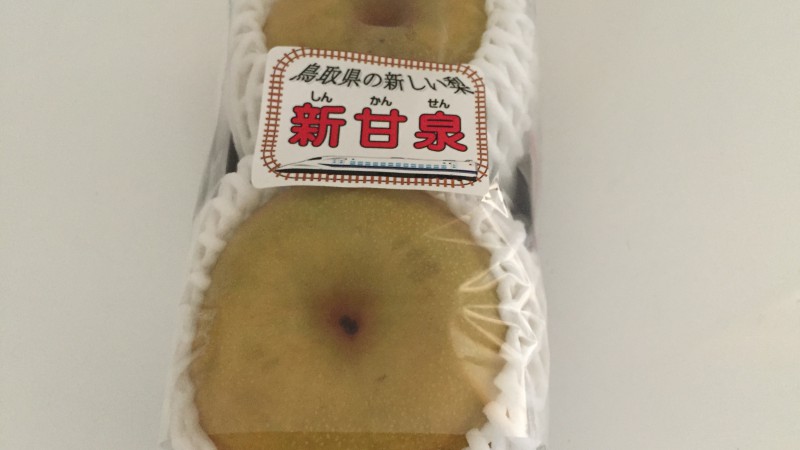 キター！！！！！！！！！！