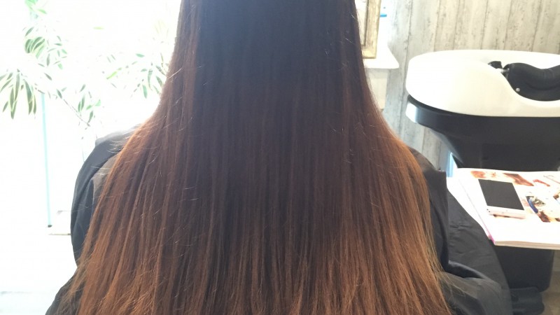 バーーッサリ!!