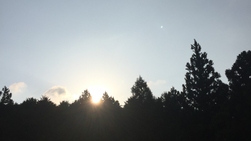 お知らせ〜m(_ _)m