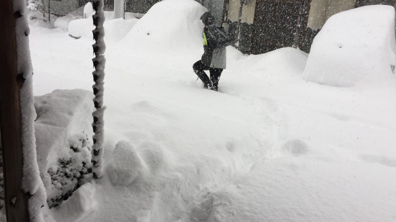 もはやこのネタしか。