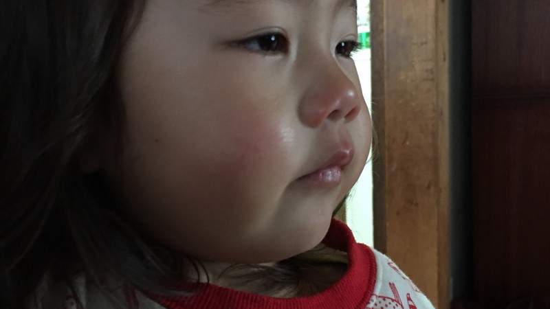 引きこもり生活