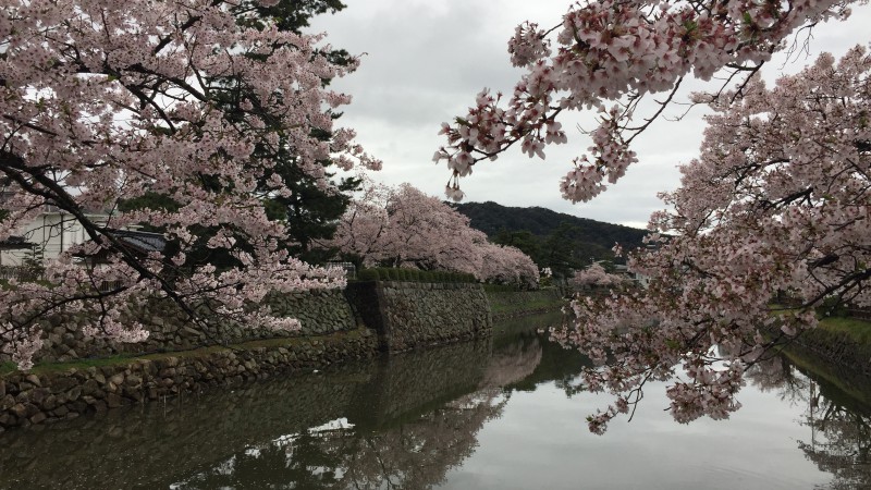 雨だったけど。