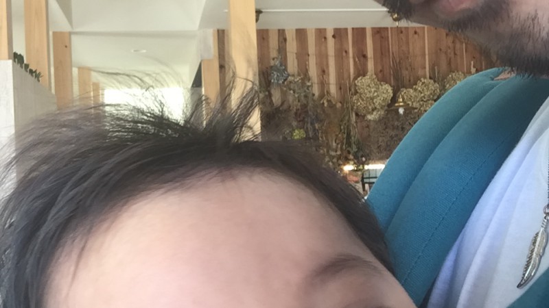 ãã£ããããæ¥ã«ã¯ð