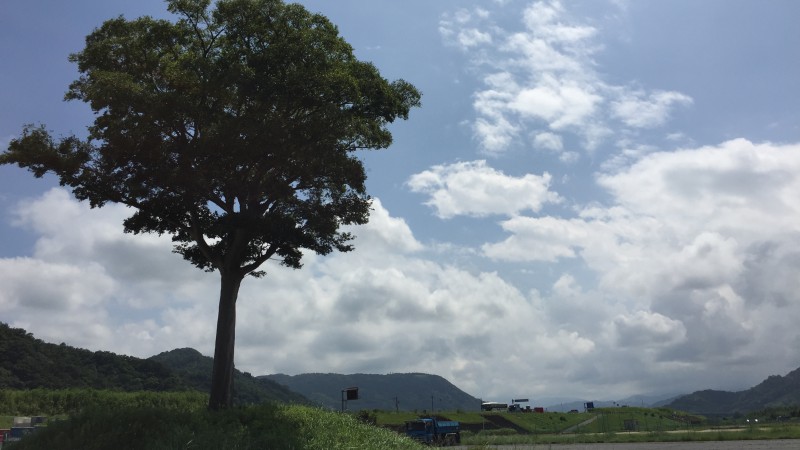 今日から通常営業です🙋♂️✨