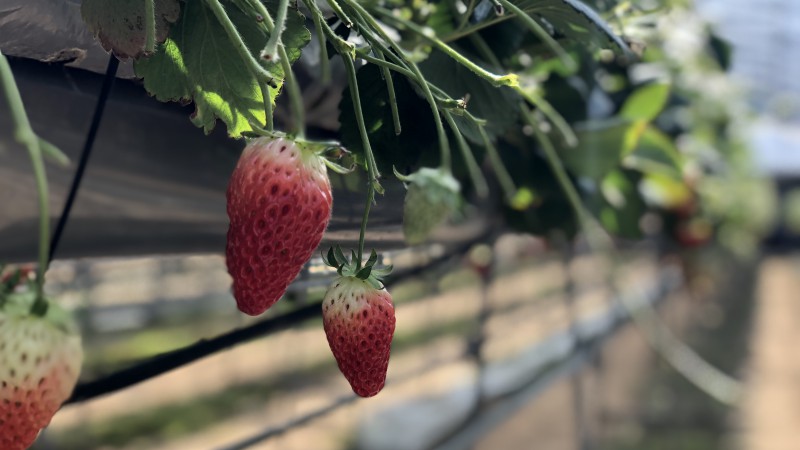 ไบบ็ใง2ๅ็ฎโจ