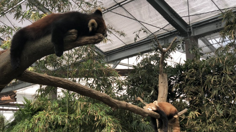 こんな感じ🤷♂️