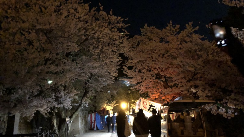 お花見🌸🍡