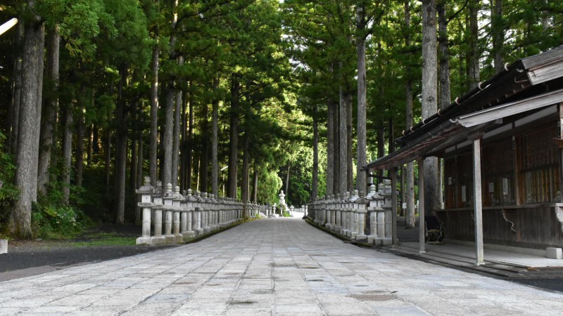 弾丸1人旅ツアー!!🚙