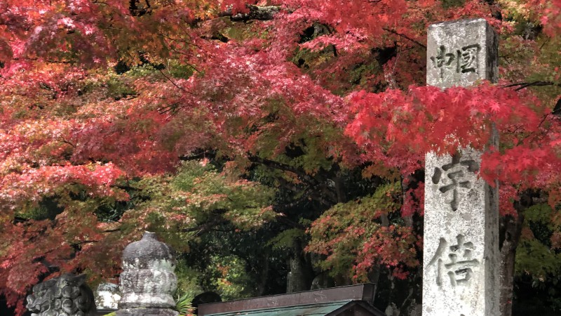 さぁ楽しもう💪