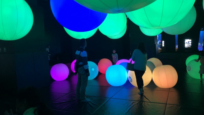 とっても楽しそう✨