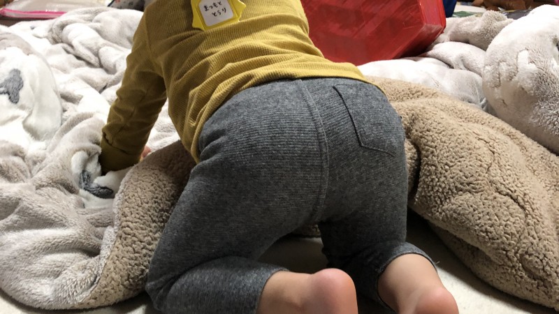 これでご勘弁を🙏