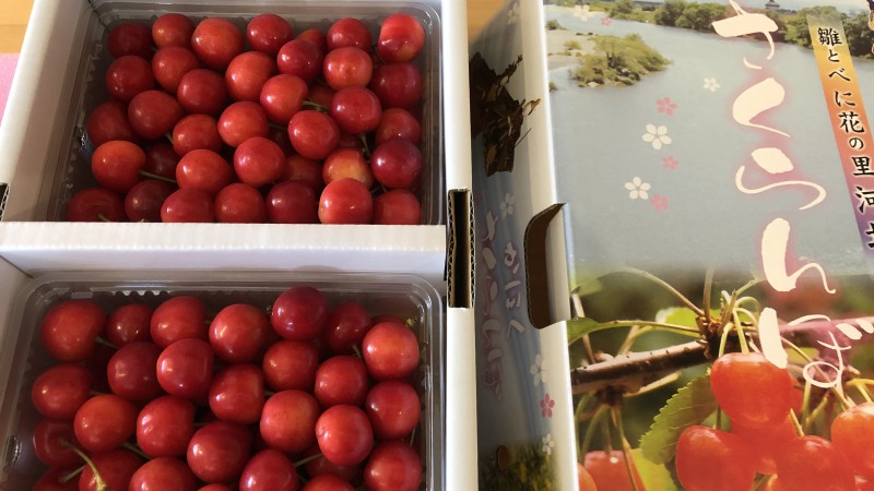 ふるさと納税🙋‍♂️